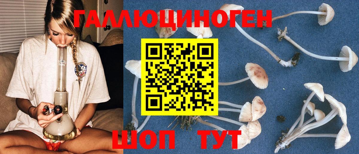 где можно купить наркотик  Псилоцибиновые грибы Psilocybe  Вход с VPN  Воронеж 